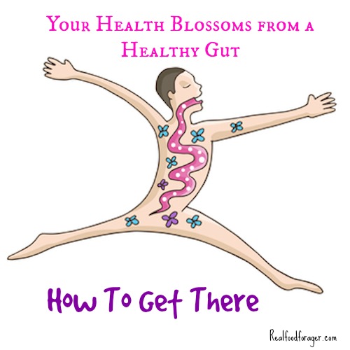 Your Health Blossoms from a Healthy Gut – How to Get There post image