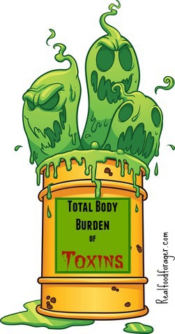 Autoimmunity and Your Total Body Burden of Toxicity post image