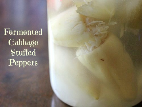 Guest Recipe from Almost Bananas: Fermented Cabbage Stuffed Peppers post image