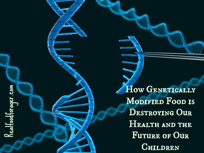 How Genetically Modified Food is Destroying Our Health and the Future of Our Children post image