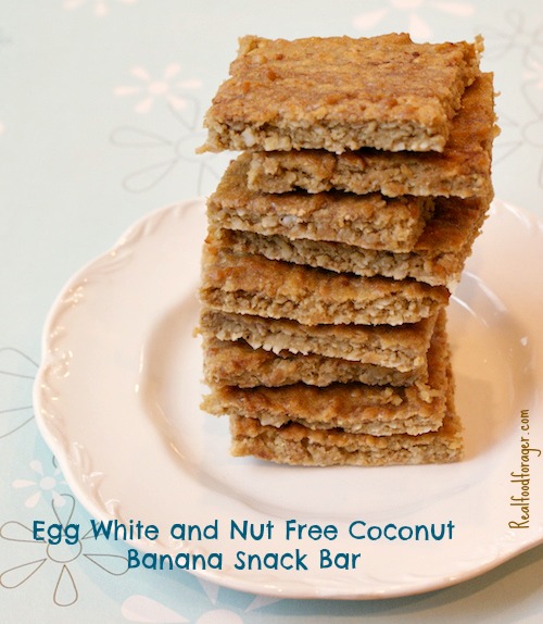 Recipe: Egg White and Nut Free Coconut Banana Snack Bar (SCD, GAPS, Paleo) post image