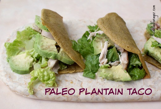 Recipe: Paleo Plantain Taco (Grain-free, Paleo, AIP) post image