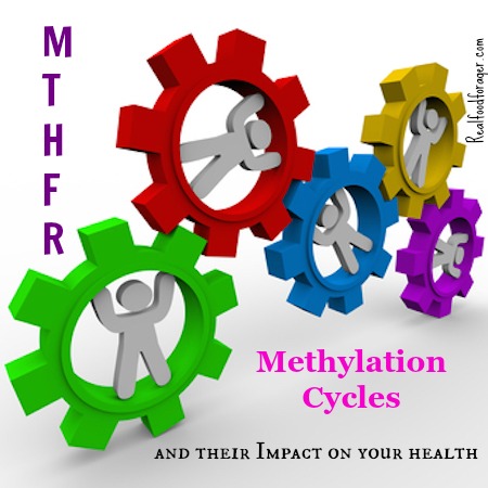 MTHFR, Methylation Cycles and Their Impact on Your Health post image