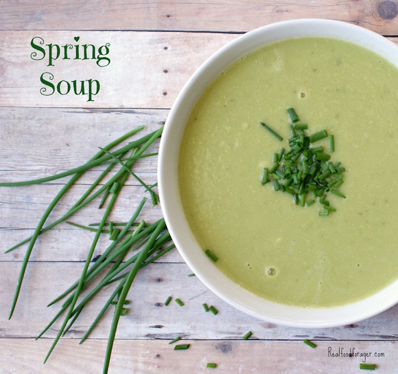 Recipe: Spring Soup (Paleo, SCD, GAPS, AIP) post image