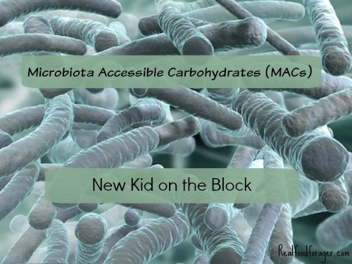 Microbiota Accessible Carbohydrates (MACs) – The New Kid on the Block post image