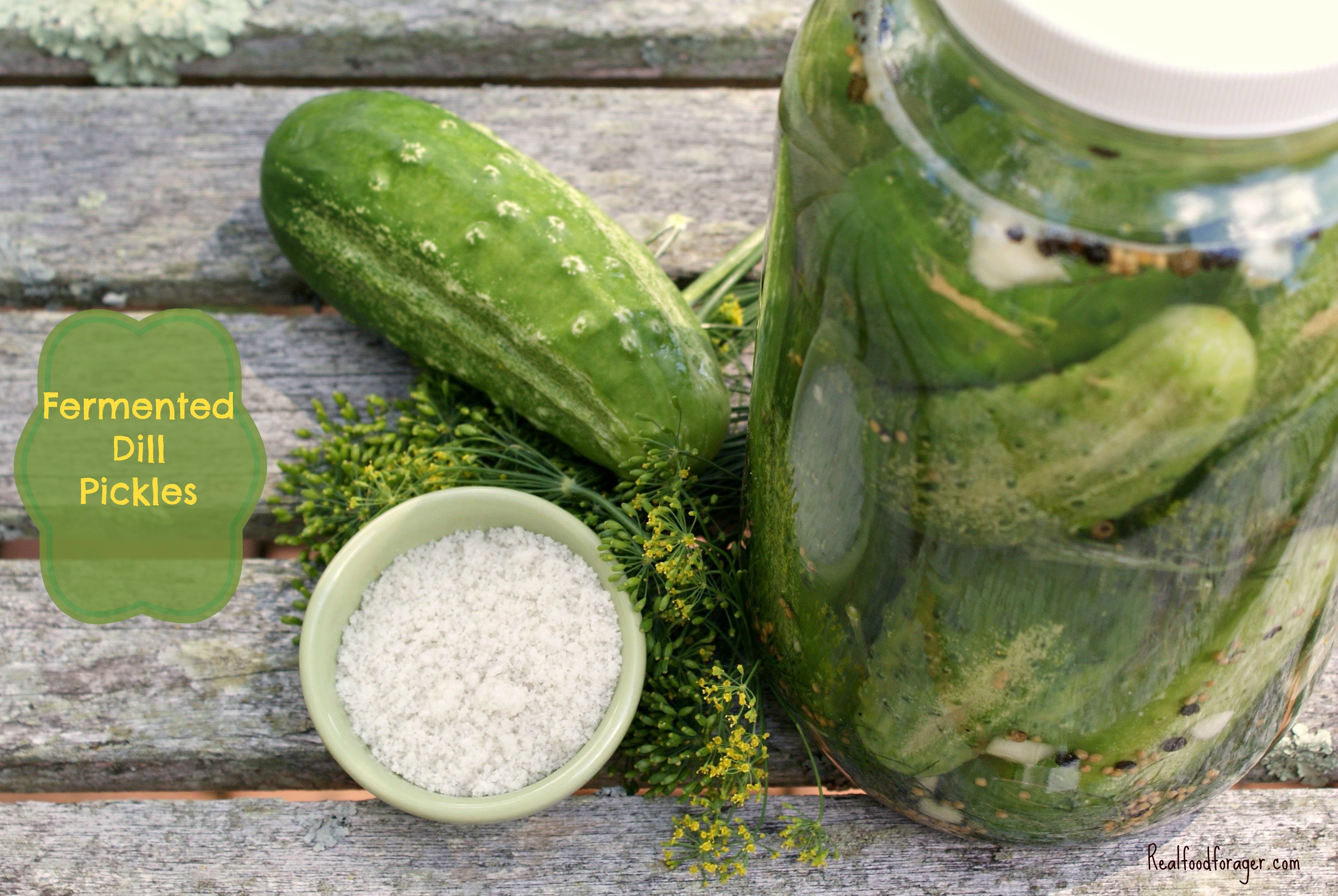 Recipe: Fermented Dill Pickles post image