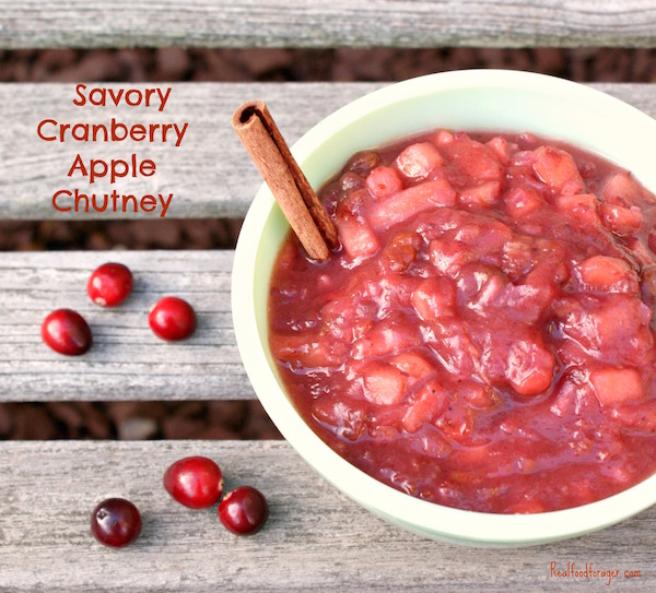 Recipe: Savory Cranberry Apple Chutney (Paleo, AIP, SCD, GAPS) post image