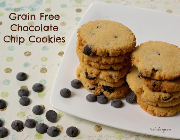 Recipe: Grain Free Chocolate Chip Cookies (Paleo, GAPS) post image