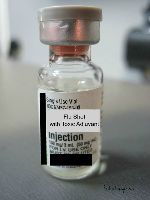 New Flu Vaccine Targets Seniors with a Powerful (and Toxic) Adjuvant post image