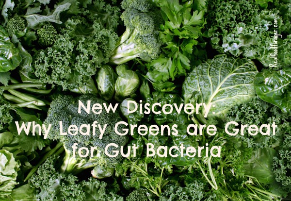 New Discovery: Why Leafy Greens are Great for Gut Bacteria post image