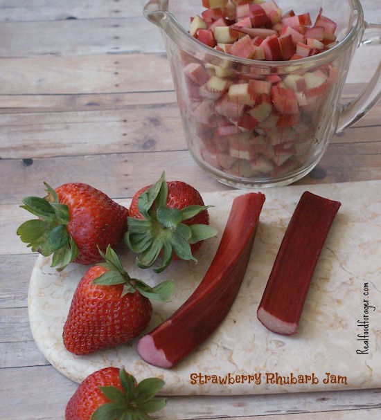 Recipe: Strawberry Rhubarb Jam (Paleo, SCD, GAPS, AIP) post image