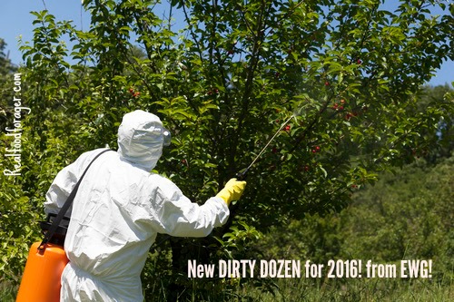 Just Released! Environmental Working Group’s (EWG) Dirty Dozen for 2016! post image