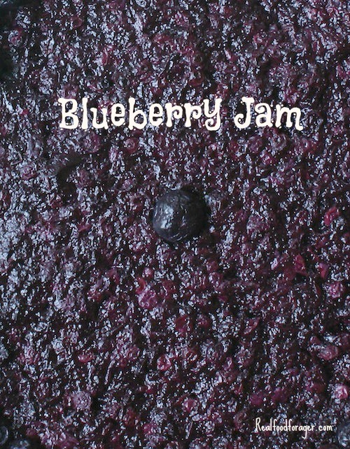 Recipe: Blueberry Jam (Paleo, SCD, GAPS AIP) post image
