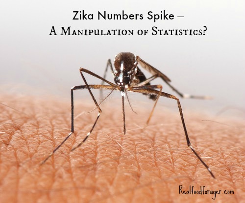 Zika Numbers Spike – A Manipulation of Statistics? post image