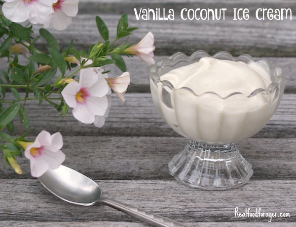 vanilla ice cream, non-dairy ice cream