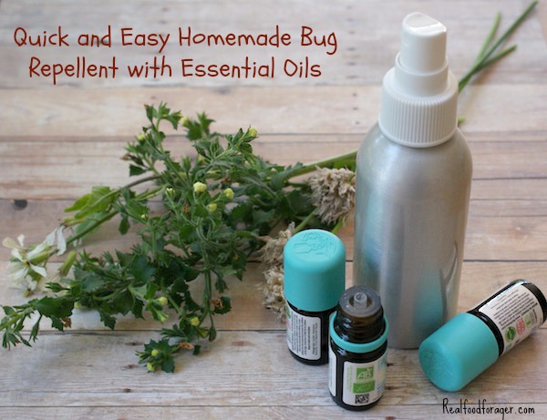Quick and Easy Homemade Bug Repellent with Essential Oils post image