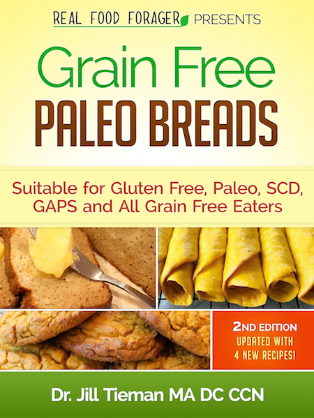 Flash Sale of my Updated Kindle Book – Grain Free Paleo Breads – 99 Cents Today! post image
