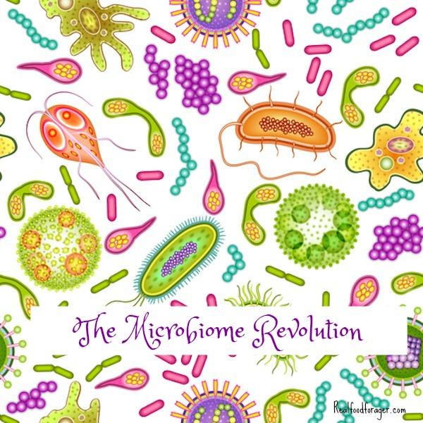 The Microbiome Revolution post image