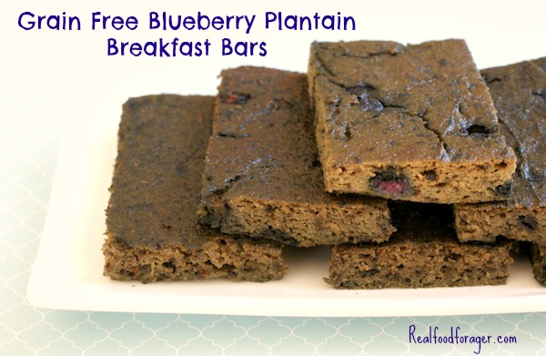 Recipe: Grain Free Blueberry Plantain Breakfast Bars (Paleo, Nut Free) post image