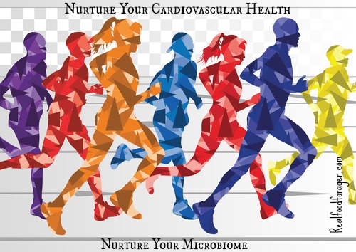 Nurture Your Cardiovascular Health – Nurture Your Microbiome post image