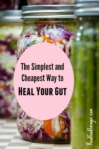 The Simplest and Cheapest Way to Heal Your Gut post image