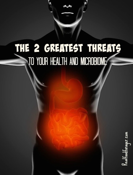 The 2 Greatest Threats to Your Health and Microbiome post image