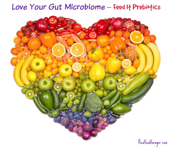 Love Your Gut Microbiome – Feed It Prebiotics post image