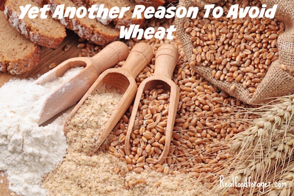 gluten wheat, gluten free, grain free