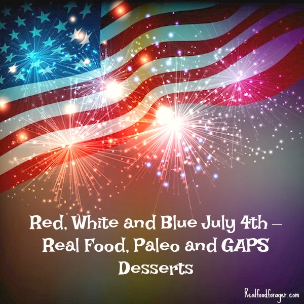 Red, White and Blue July 4th – Real Food, Paleo and GAPS Desserts post image