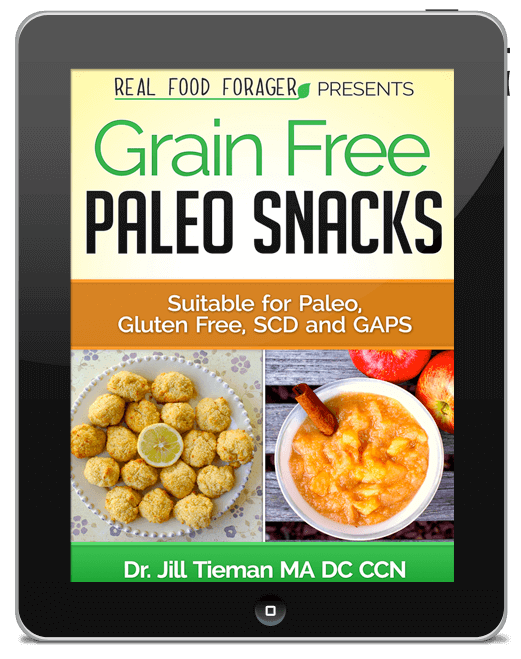 Grain Free Paleo Snacks - Jill Tieman